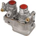 MAG60139001 1/2 in Fpt BASO Natural/ LP Gas Safety Valve