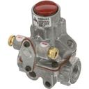 SOU1173493 3/8 in FPT x 3/16 in Tube Safety Valve