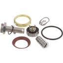STRP54-2821 Solenoid Valve Repair Kit, 3/4 in