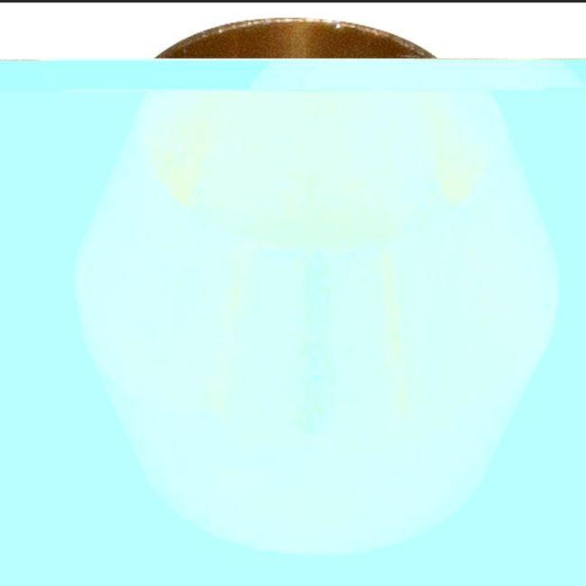 Product gallery 432509516