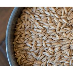 Product thumb gallery 473582182