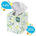White Natural Boutique Facial Tissue
