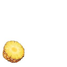 Product thumb gallery 224584716