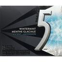 Wintermint Ascent Sugar Free Mint Gum