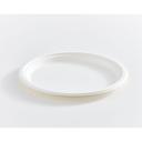 10 in Compostable Bagasse Round Fibre Plate