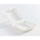 Compostable Bagasse Fibre Hinged Clamshell Container 9 x 9 in
