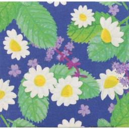 Product thumb gallery 570907155