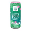 Mojito Mint Sparkling Probiotic Soda