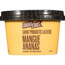 Dairy Free Mango Pineapple Small Batch Sorbetto