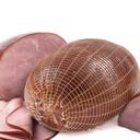 14 Percent Spinning Top Ham