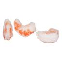 Sliced Yellow or Orange Carrot