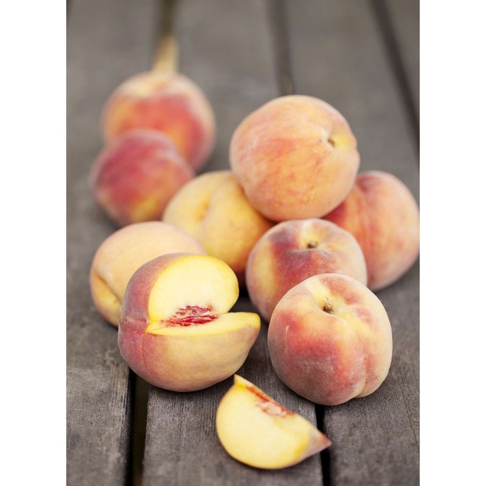 The Preservatory Peach With Jalapeno And Tequila Preserves, 3.89 Ounce -- 12 Per Case