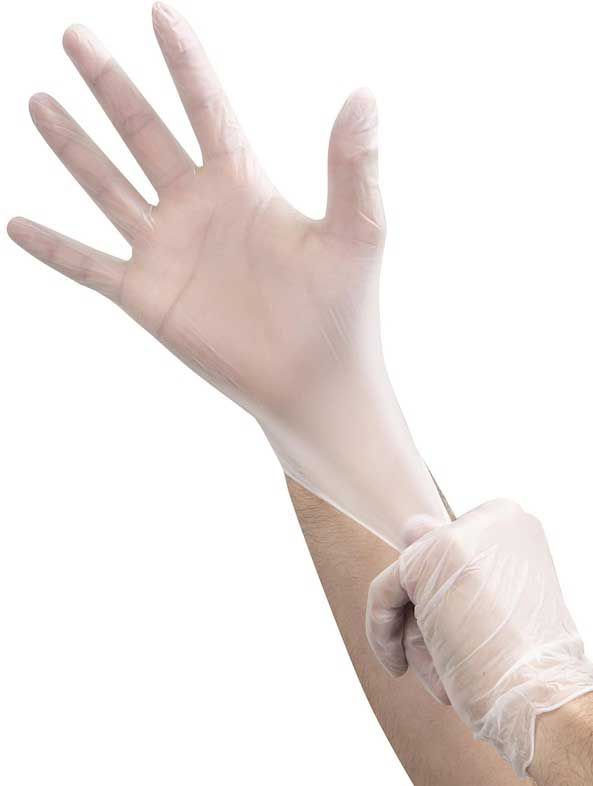 Foodhandler Onesafe Medium Clear Powder Free Vinyl Glove -- 800 Per Case