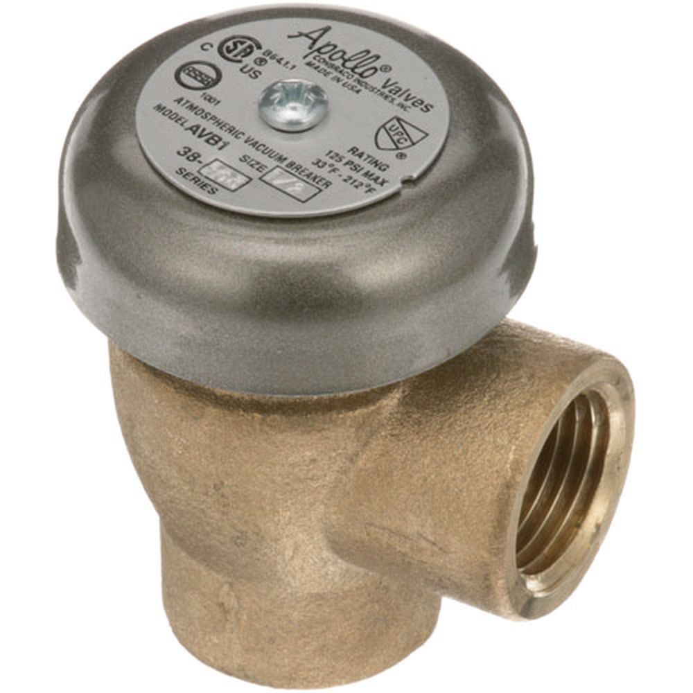 Insinger Isgd2241 1/2 Inch Fpt Brass Vacuum Breaker