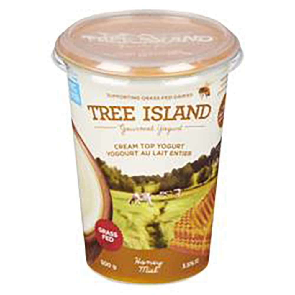 Tree Island Honey Cream Top Yogurt, 500 G -- 6 Per Case
