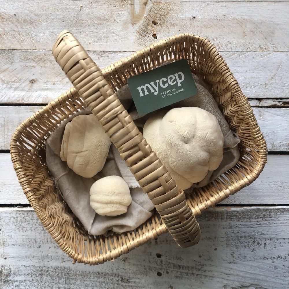 Maturin Champignon Crinière De Lion, 1 Kg