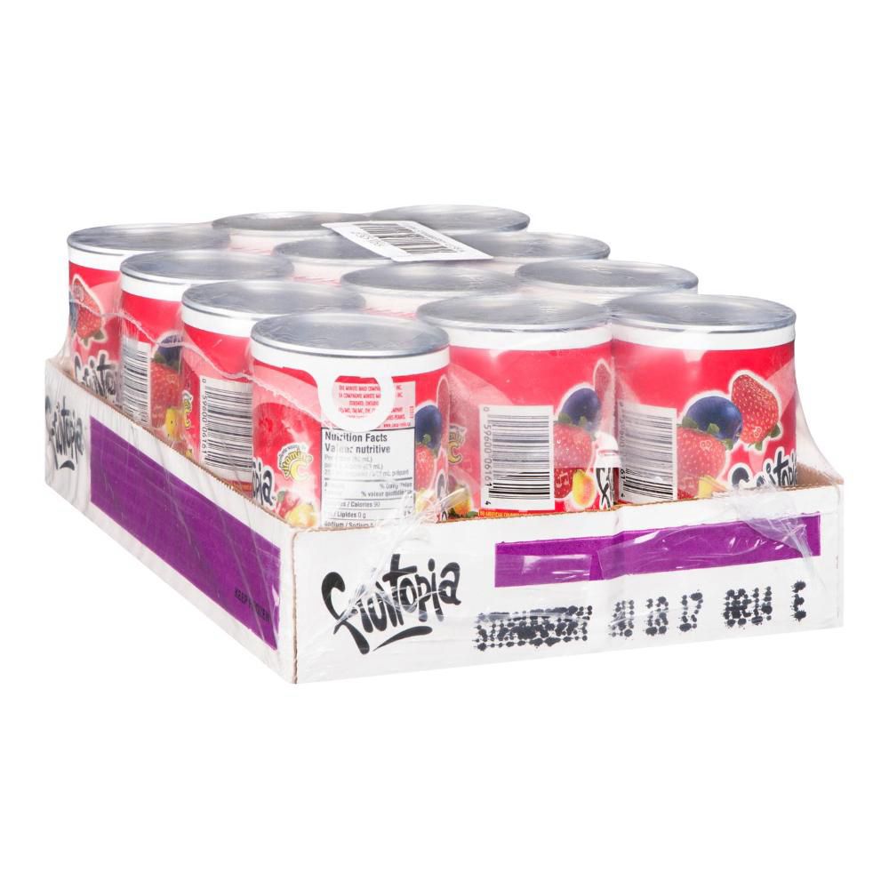 Fruitopia Boisson Aux Fraises Passion Awareness, 295 Ml -- 12 Par Caisse