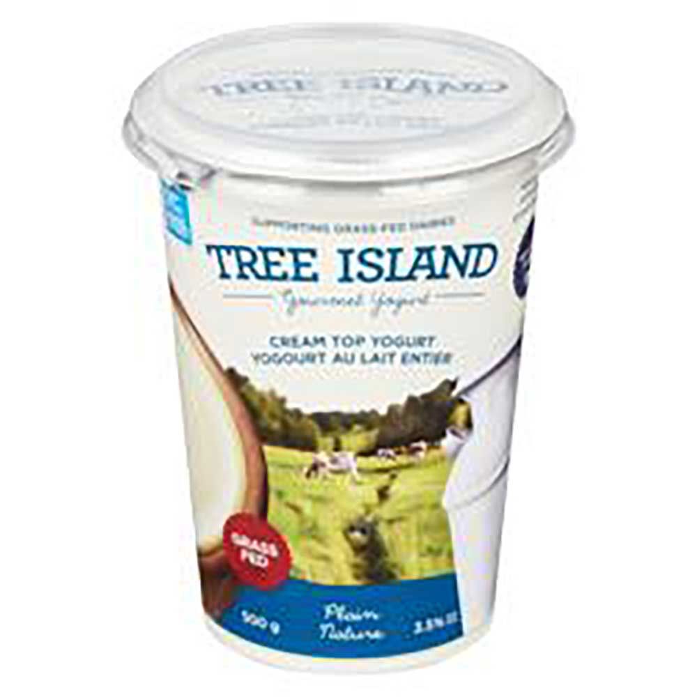 Tree Island Cream Top Plain Yogurt, 500 G -- 6 Per Case