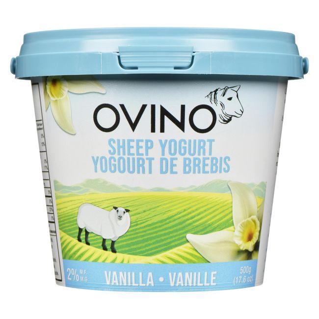Ovino 2 Percent Milk Fat Vanilla Sheep Yogurt, 500 G -- 6 Per Case