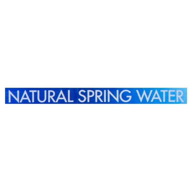 Fiji Water Natural Spring Water, 1 L -- 12 Per Case