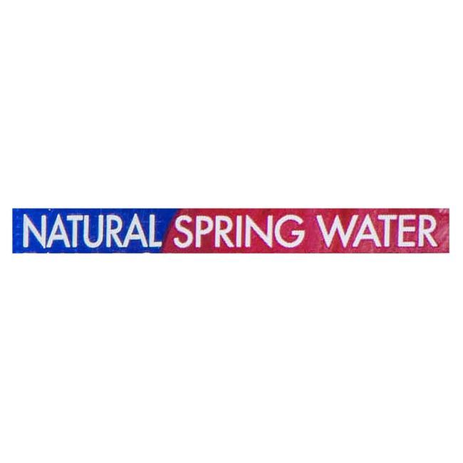 Fiji Water Natural Spring Water, 1.5 L -- 12 Per Case