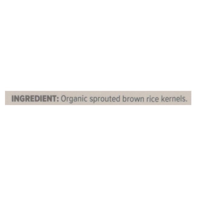 One Degree Organic Foods Sprouted Brown Rice Flour, 680 G -- 6 Per Case