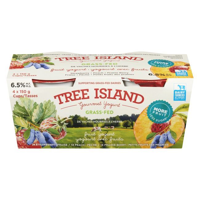 Tree Island Yogurt Fruit Yogurt Variety Pack, 600 G -- 3 Per Case