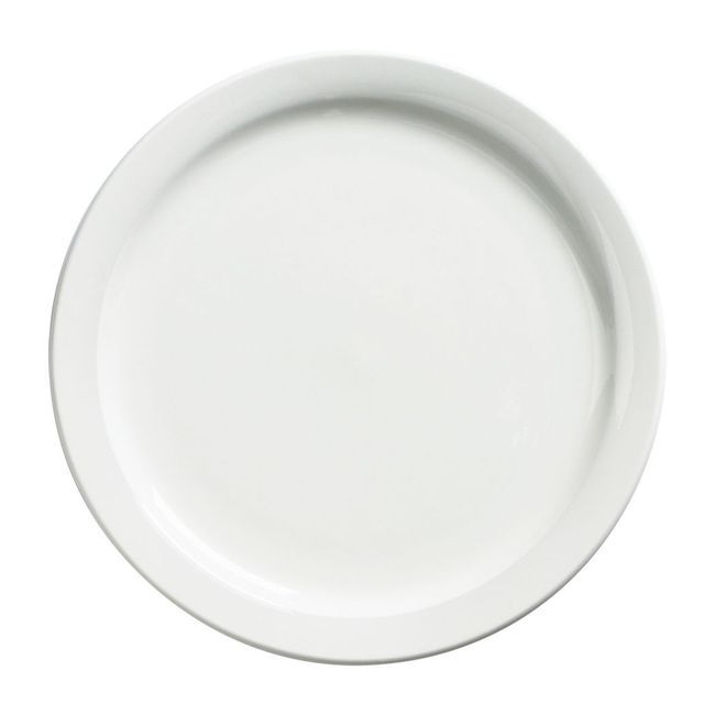 Browne Palm Porcelain White Dinner Plate, 9.5 In -- 24 Per Case