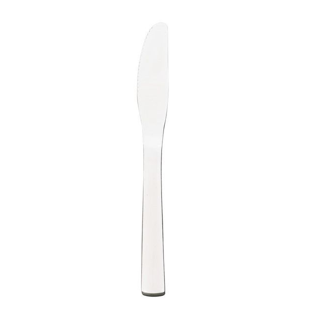 Browne Win2 13/0 Stainless Steel Mirror Finish Serrated Dinner Knife, 8.5 In -- 12 Per Case