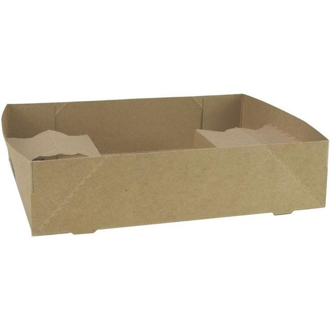 Eco Bistro Carry Out Tray, 9.3 X 7.2 X 2.3 In -- 250 Per Case