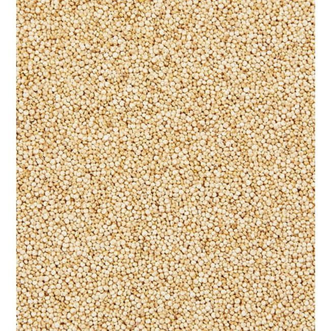 Delices Foret White Quinoa, 5 Kg
