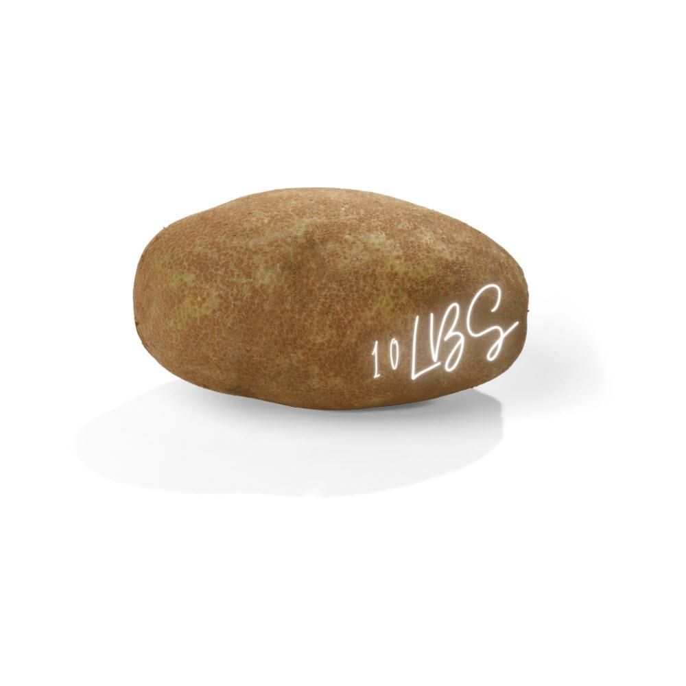 Quebec White Potato, 4.54 Kg