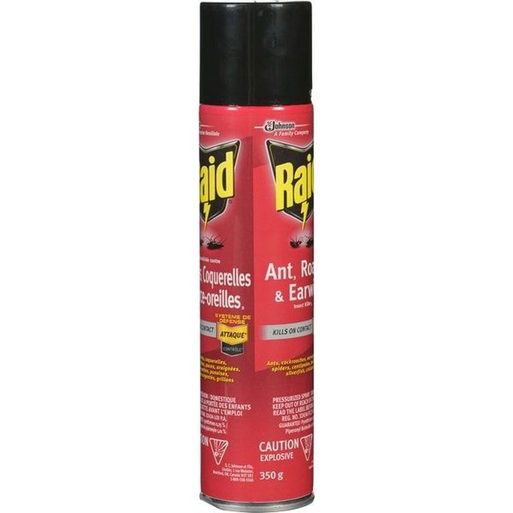 Raid Ant Roach And Earwig Insect Killer, 350 G -- 12 Per Case