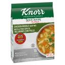 Single Knorr Professional Soup du Jour Chicken Noodle Soup Mix, 13.3 Ounce