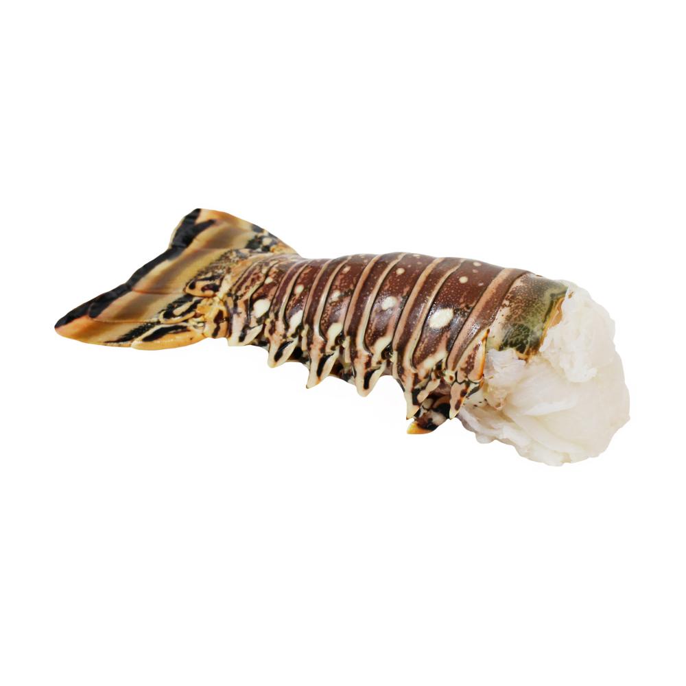 Product gallery 521098020