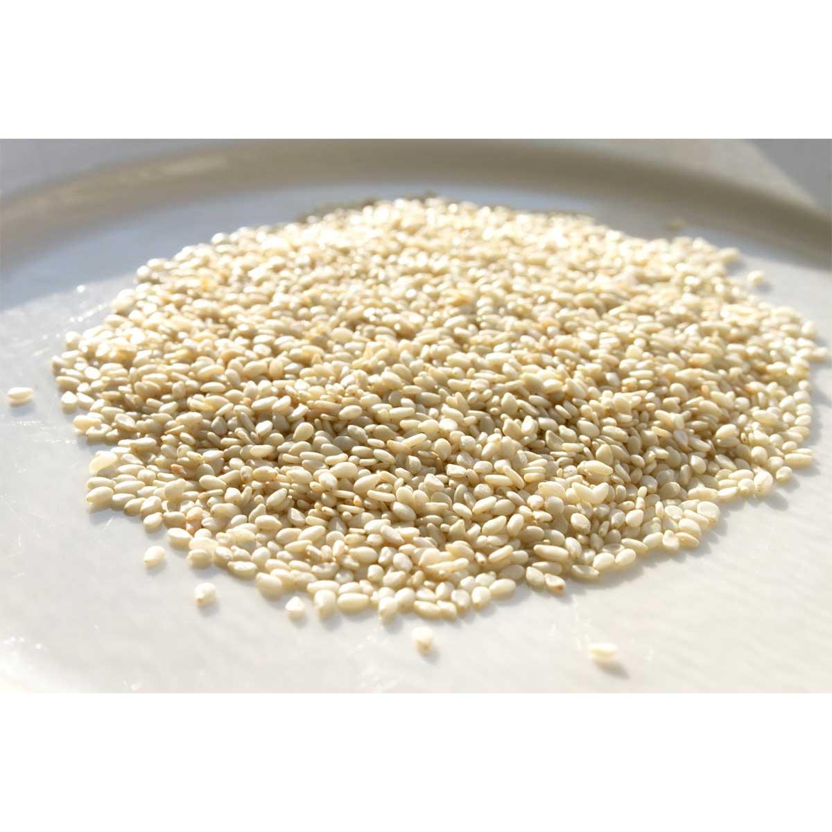 Product gallery 426739671