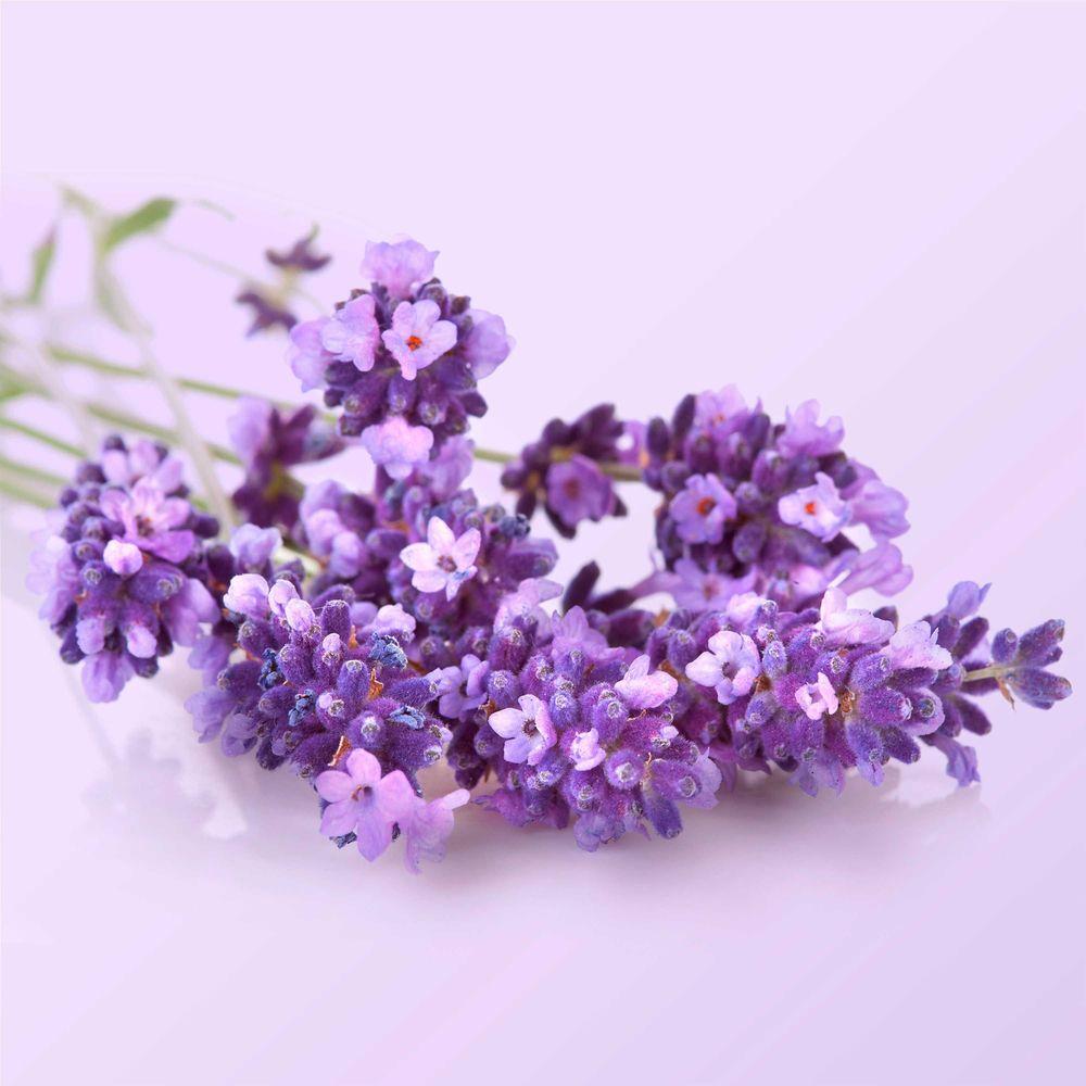 Product gallery 507216125