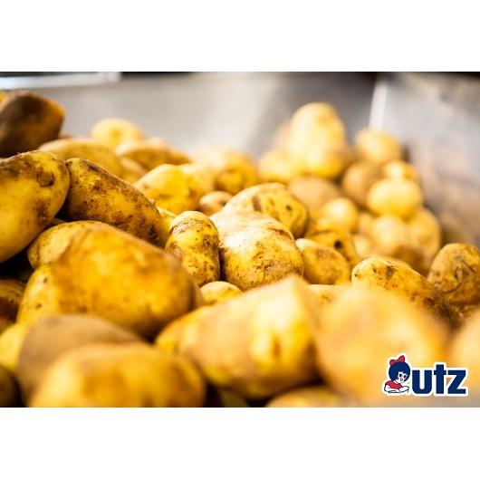 Product gallery 4273934