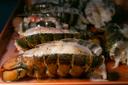Seamazz Canadian Lobster Tail, 6 - 7 Ounce Piece, 10 Pound