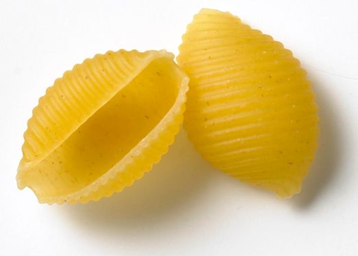 Dakota Growers Medium Shells Pasta, 10 Pound -- 2 Per Case