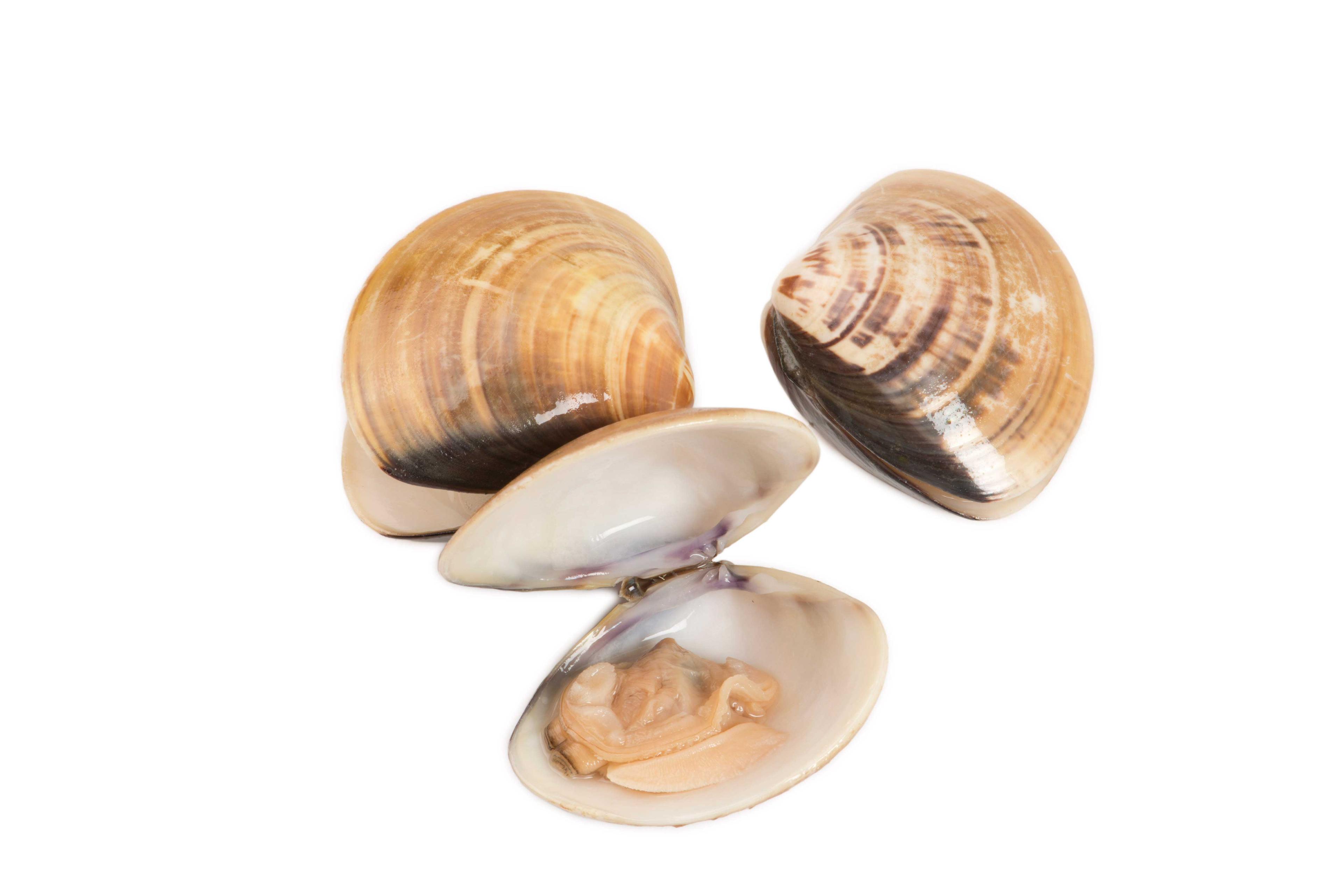 Product gallery 174896682