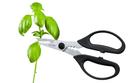 Triangle Professional Kitchen and Herbal Scissor