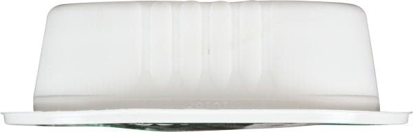 Turkey Wet Dog Food for Adult Dogs