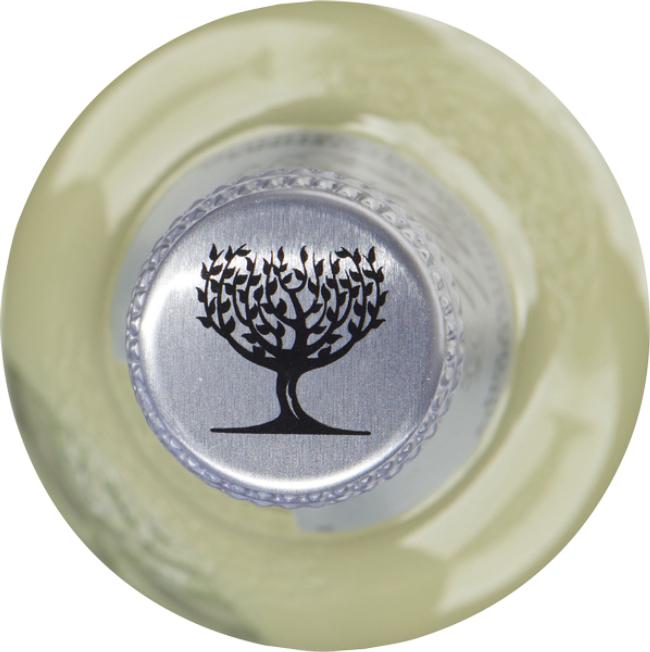 Product gallery 909541343