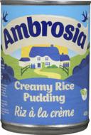 Rice Pudding