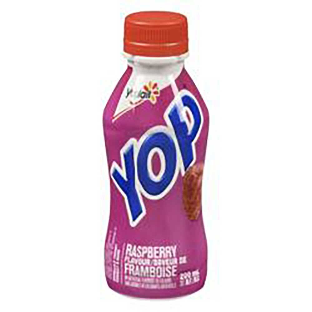 Yoplait 1 Percent Milk Fat Blueberry Drinkable Yogurt, 200 Ml -- 12 Per Case