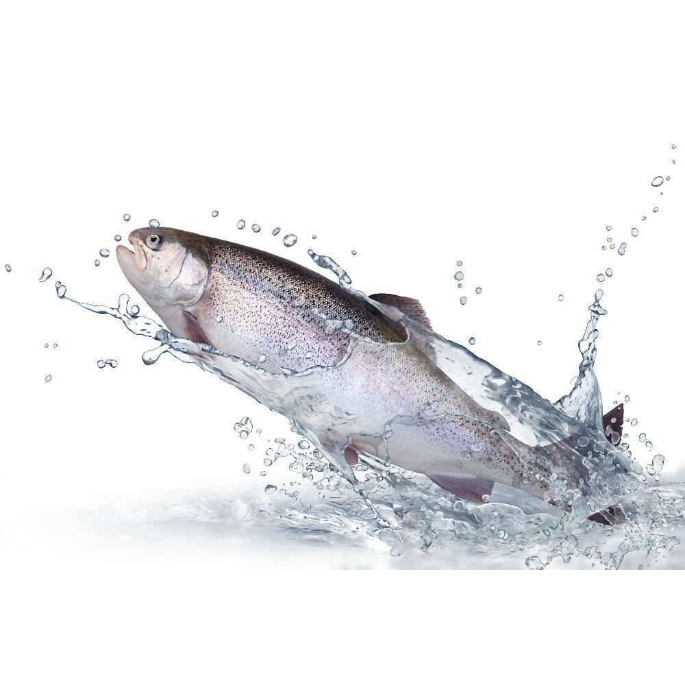 Product gallery 155928468