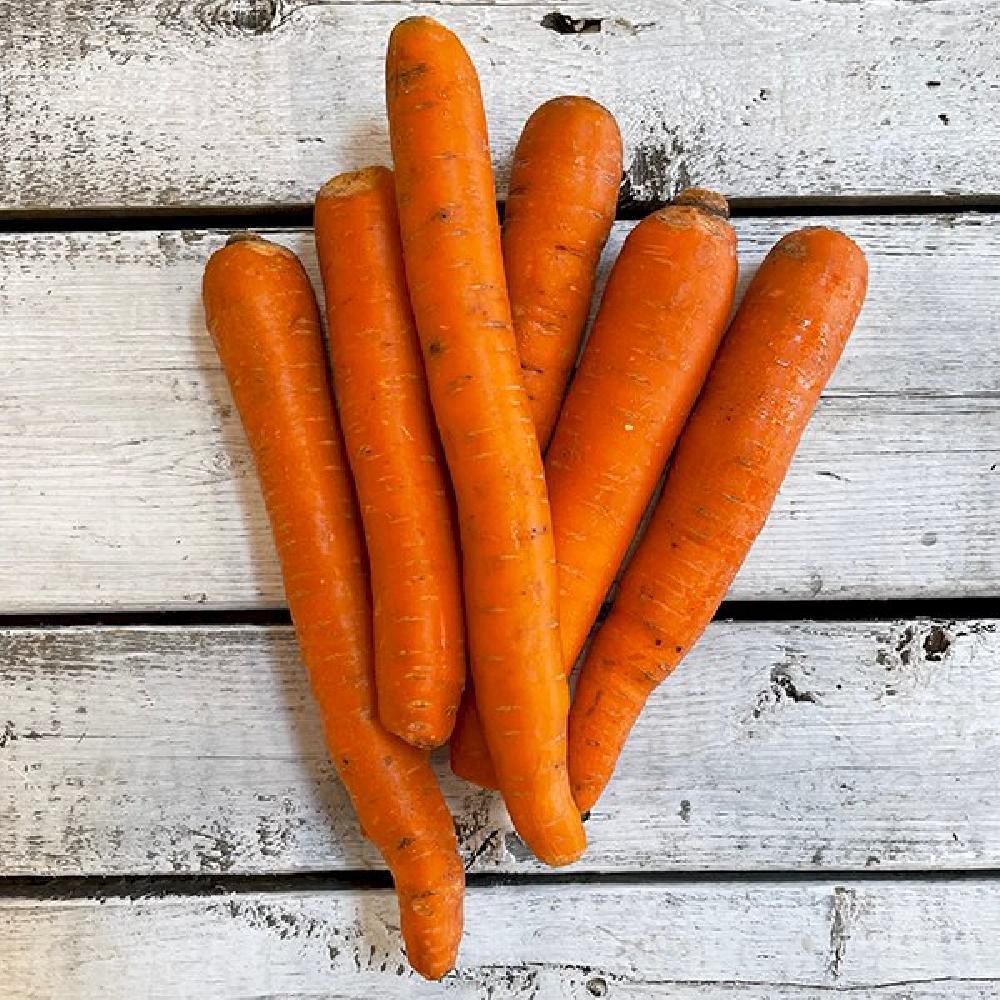 Maturin Carrot, 11.34 G