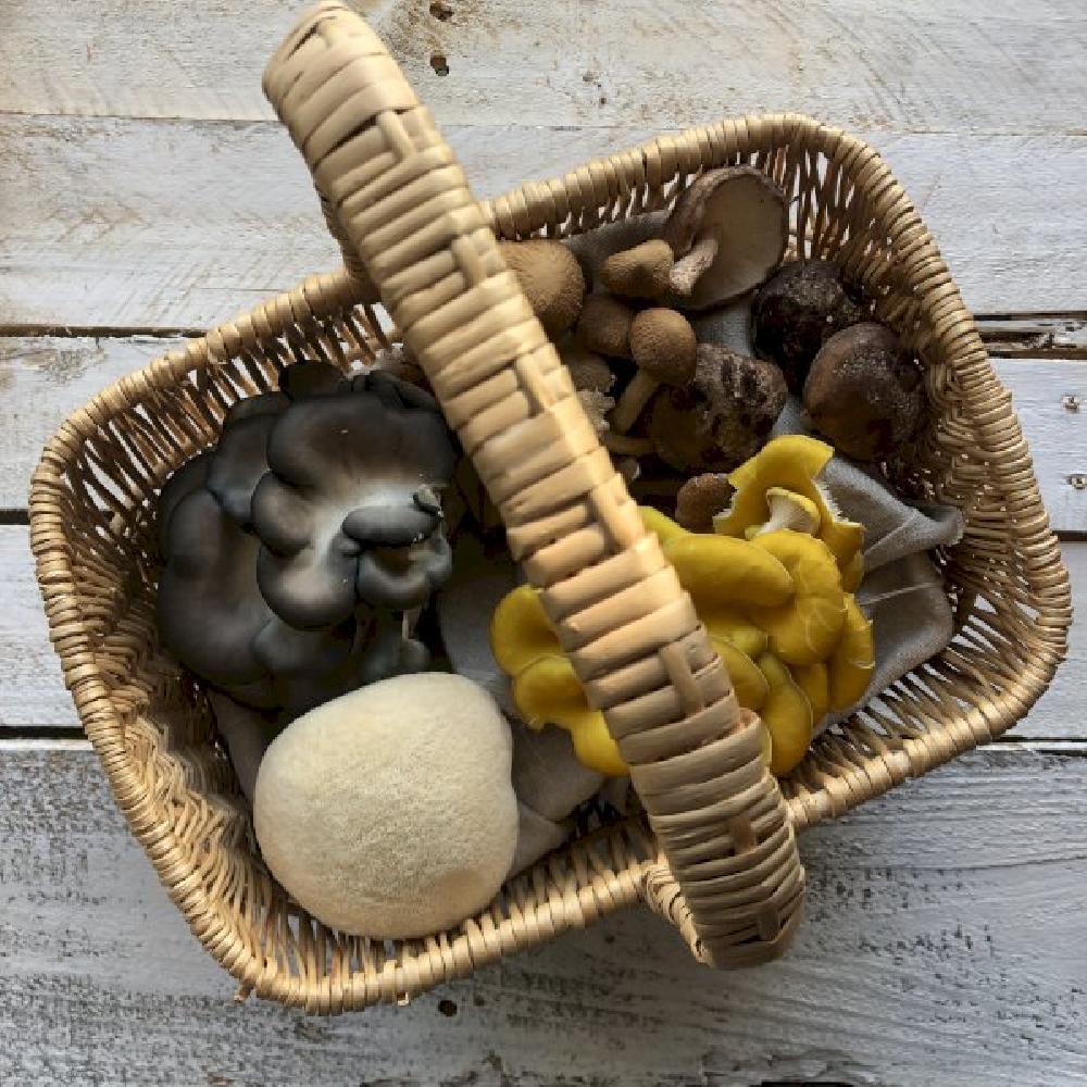 Product gallery 508301748