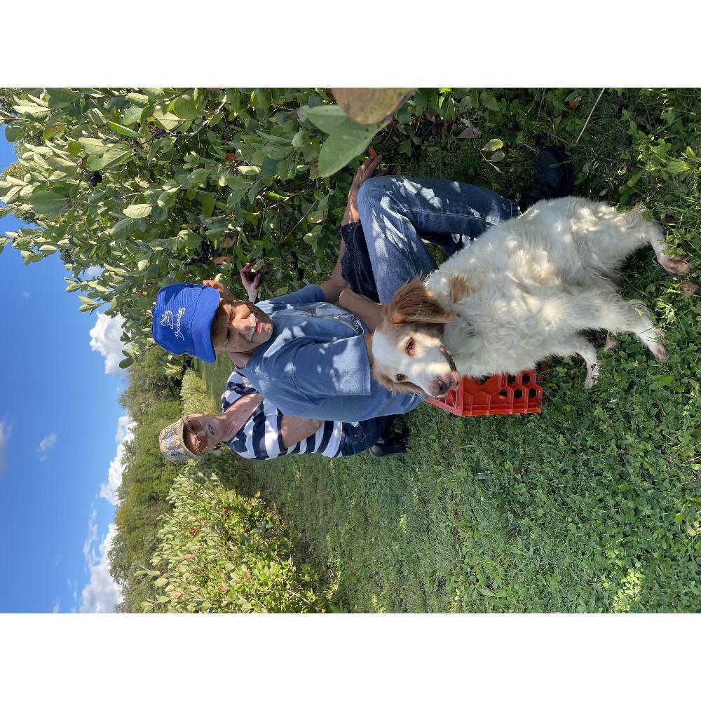 Product gallery 384834245